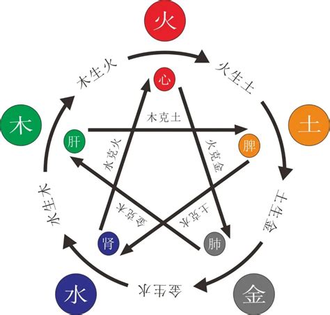 五行金多缺木|八字金太多缺木 (五行中没有木但是金多怎么办)